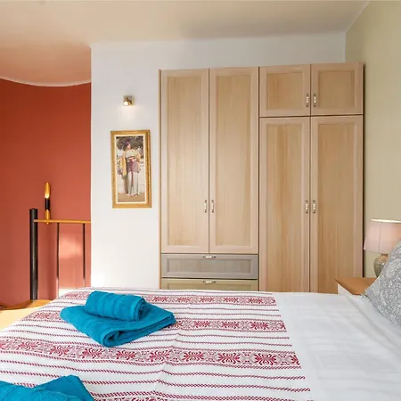 Akron Terra فيلة *